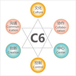 金和C6六脉神剑 跨越企业管理黑洞的智慧之道